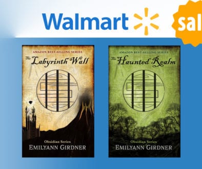 Walmart Fantasy Book Deal: The Labyrinth Wall & The Haunted Realm!